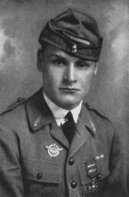 ウィリアム・A・ウェルマンの画像