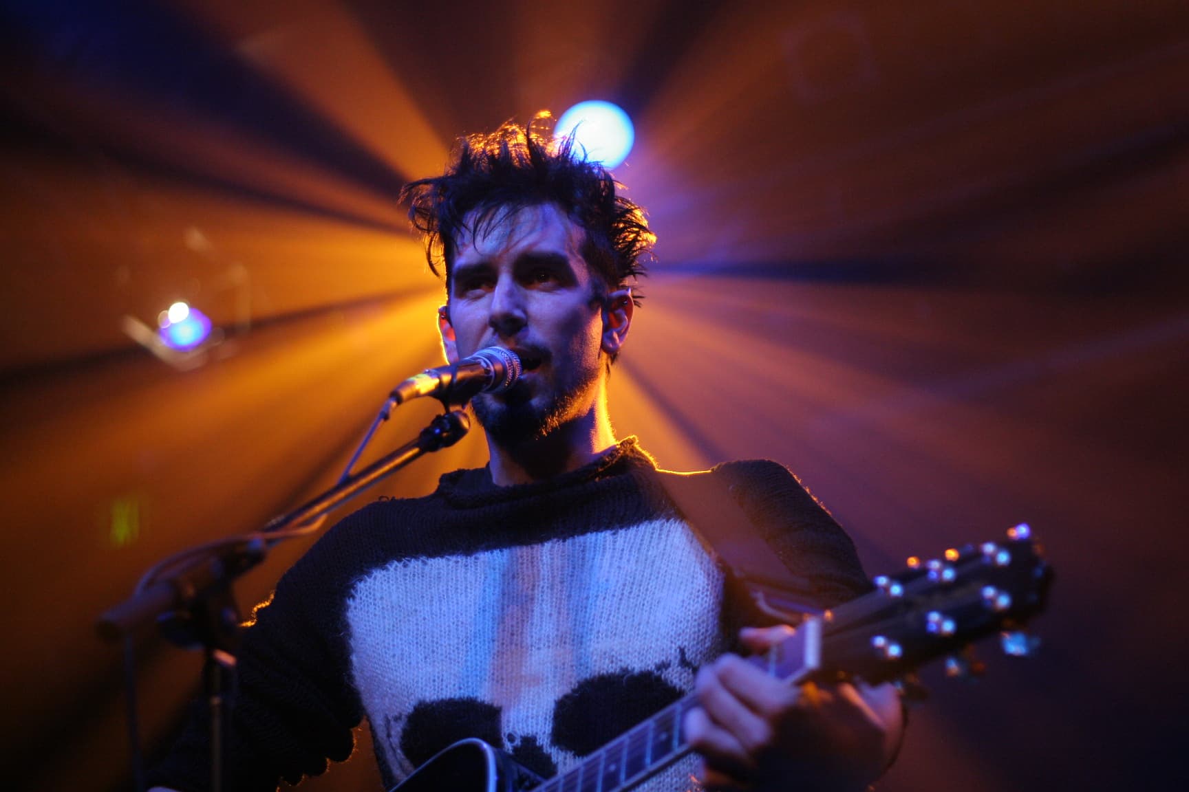 ヴォルテールの画像